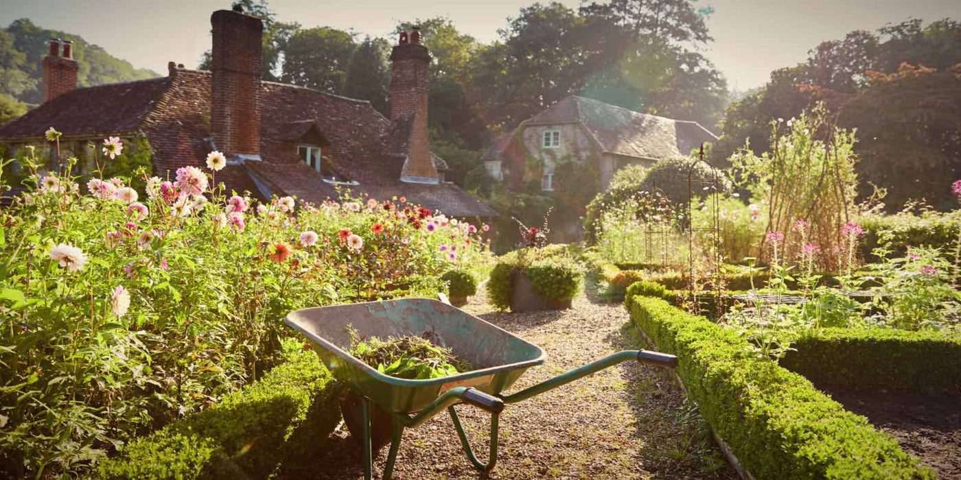 wheelbarrow in english garden 